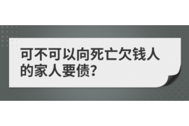 盱眙为什么选择专业追讨公司来处理您的债务纠纷？